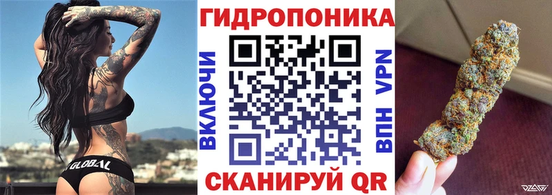 Где продают наркотики Болотное ГАШ  Каннабис  A PVP  Меф 