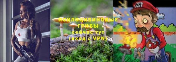 МДМА Белокуриха