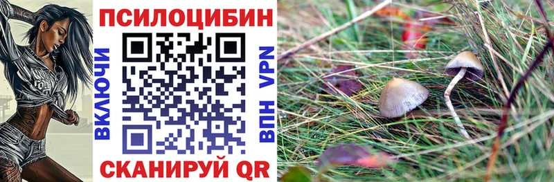 Галлюциногенные грибы GOLDEN TEACHER  Болотное 